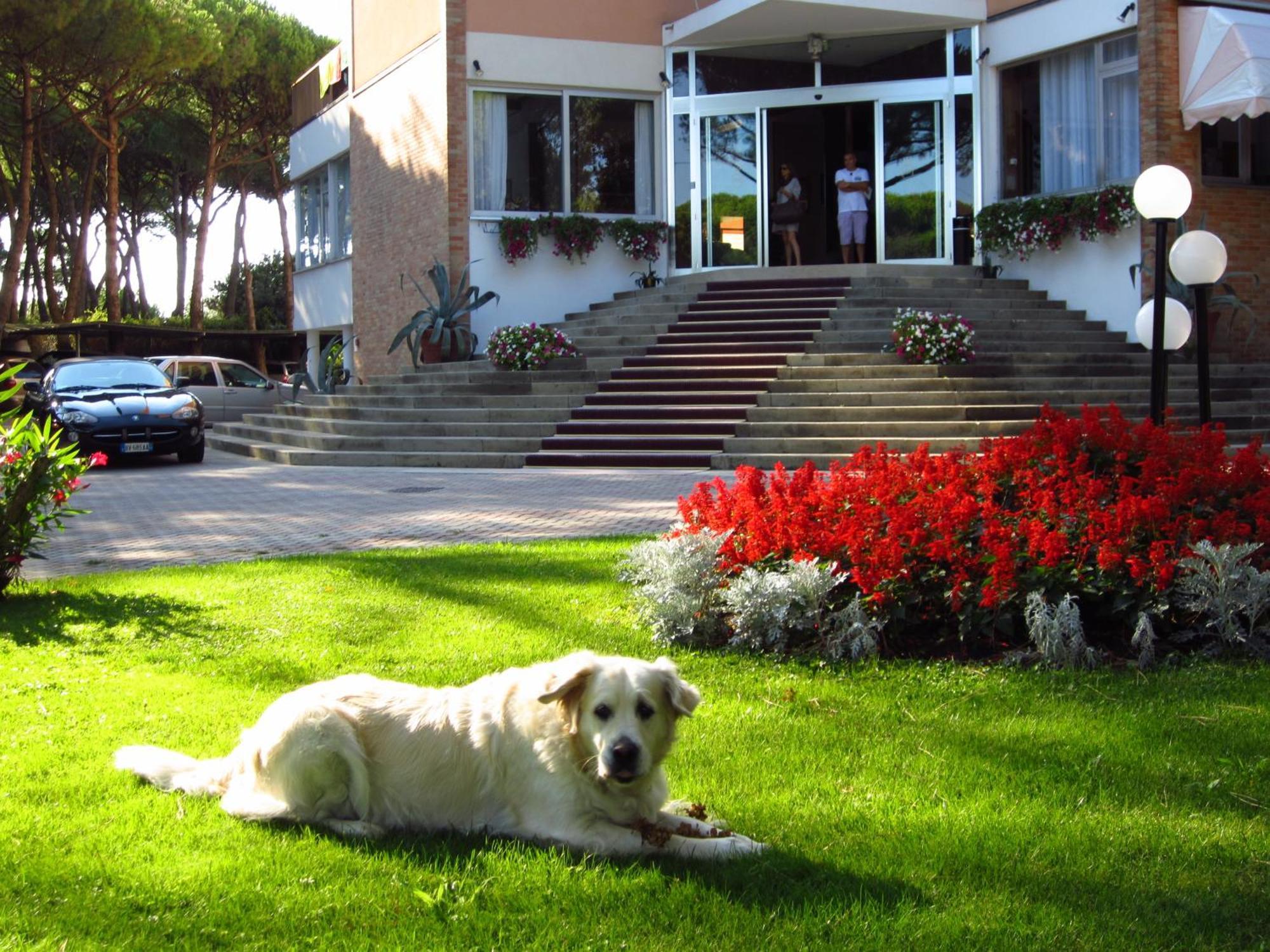 Hotel Beau Rivage Pineta Lido di Jesolo Exterior photo